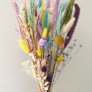 Dried Grass, Pastel mix colors tails, Dried bunny Tails, Dried flowers bouquet, Dried Grass, Bunny Tail bouquet, Lagurus grass image 2
