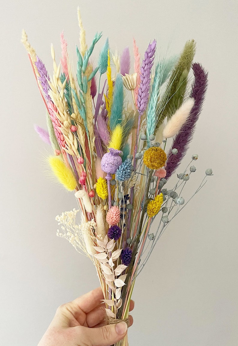 Dried Grass, Pastel mix colors tails, Dried bunny Tails, Dried flowers bouquet, Dried Grass, Bunny Tail bouquet, Lagurus grass image 2