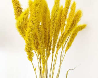 5個の乾燥セタリアイエロー、乾燥セタリアナチュラルバンチ、ドライフラワーブーケ、ドライグラス、ナチュラルクエーキンググラス、ホームデコレーション