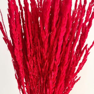 10 pcs Dried grass, Red grass, Dried flowers bouquet, Dried Grass, Fluffy grass, Pampas dried grass
