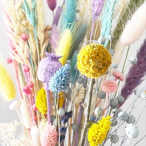 Dried Grass, Pastel mix colors tails, Dried bunny Tails, Dried flowers bouquet, Dried Grass, Bunny Tail bouquet, Lagurus grass image 3