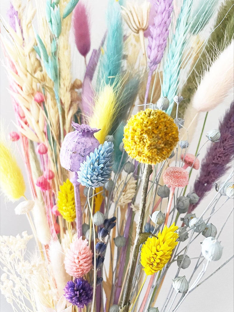 Dried Grass, Pastel mix colors tails, Dried bunny Tails, Dried flowers bouquet, Dried Grass, Bunny Tail bouquet, Lagurus grass image 3