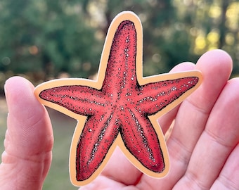 Starfish Sticker, Original Artwork Print on Waterproof Vinyl
