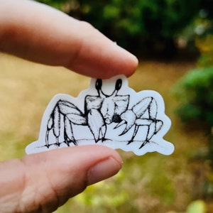 Mini Hermit Crab {sticker}