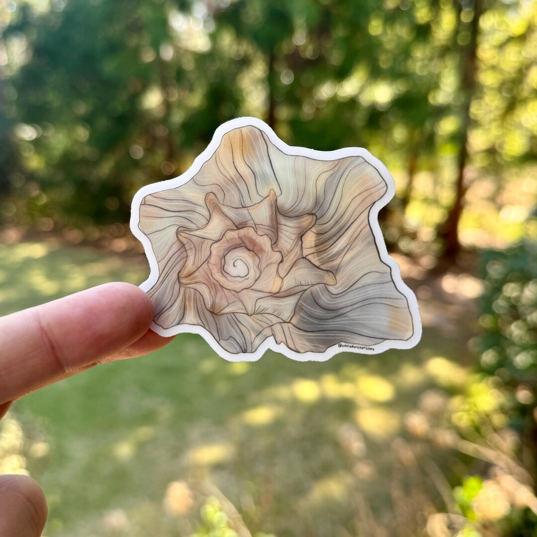 Sea Shell on the Beach {sticker} - Etsy