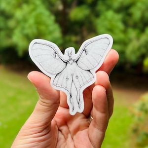 Luna Moth {sticker}