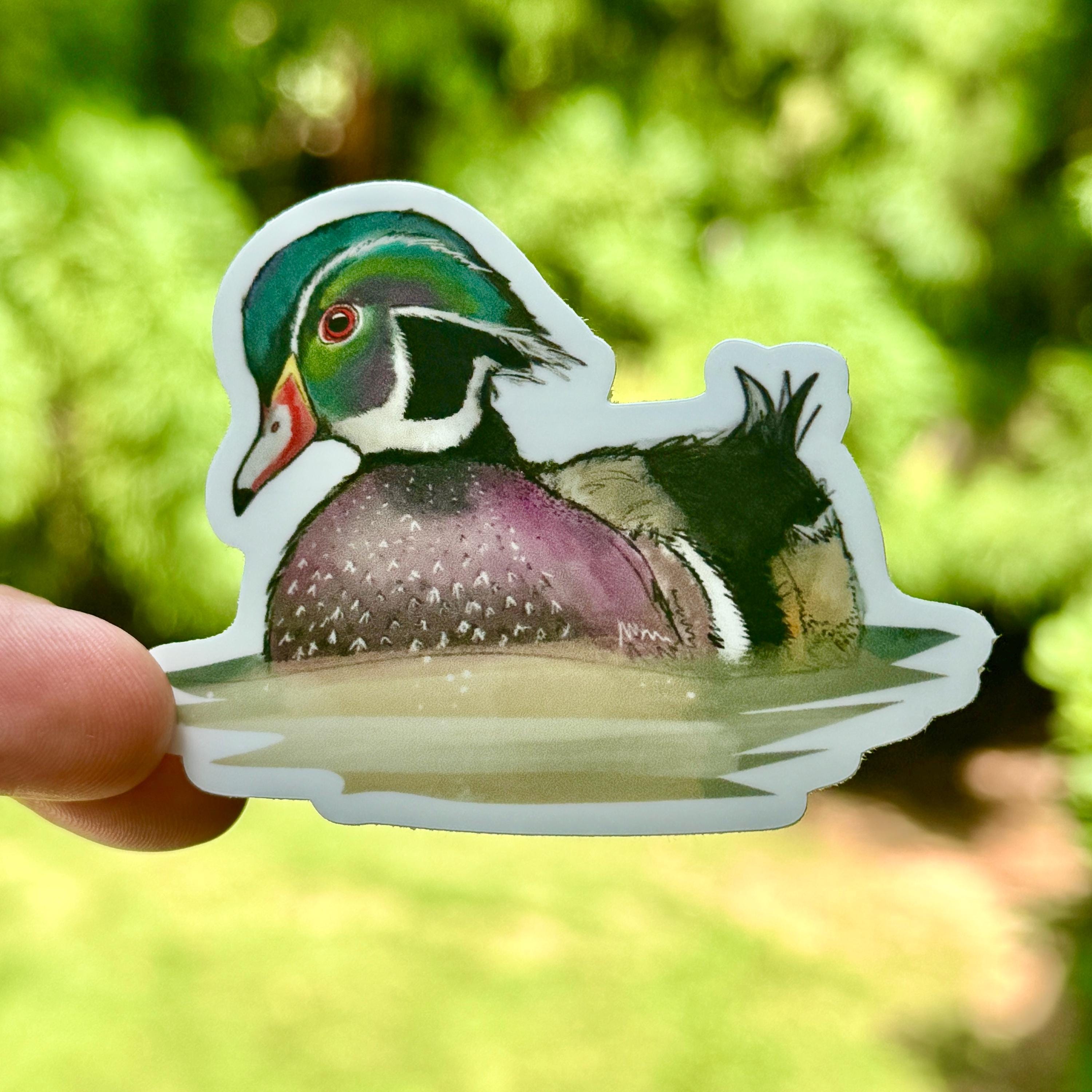 Green Feathers Handykam Bird Box WiFi Bird Feeder Camera Bundle