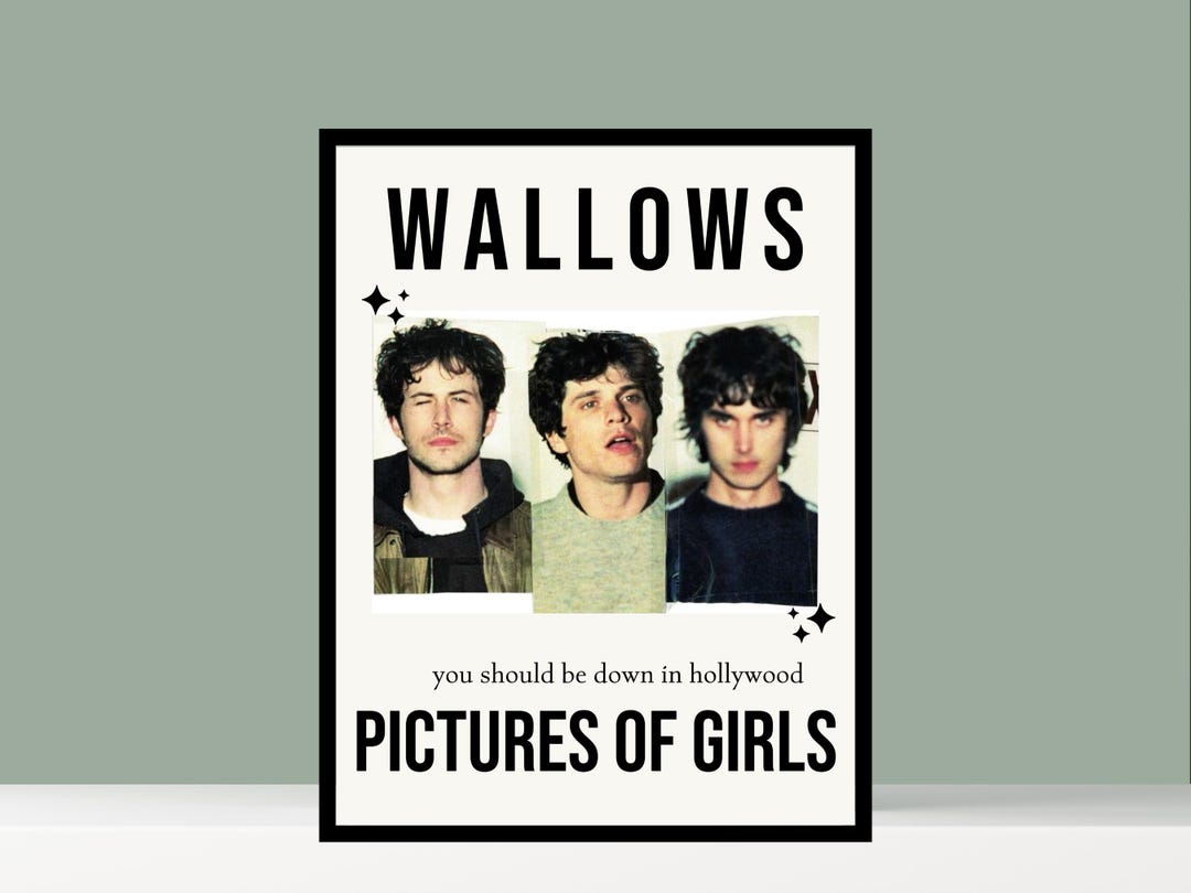 Wallows Poster, Model Poster, Pictures of Girls Poster, Music Poster - Etsy