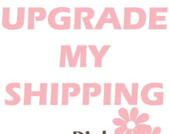 Puede incluir: Texto rosa y marrón sobre un fondo blanco que dice "Upgrade My Shipping" con dos flores rosas debajo del texto. El texto "Pinky Doo Kidz" está debajo de las flores.