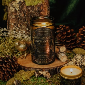 Enchanted Forest – Soy Candle / Vintage Decor / Victorian Gothic / Dark Academia / Literary Candle / Fantasy / Witchy Aesthetic