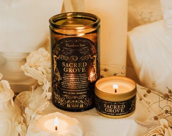 Sacred Grove | Citrusy and Fresh Scented Soy Candle