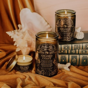 Gilded Coast | Sweet and Woody Scented Soy Candle