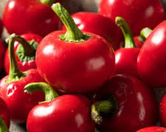 Cherry Red Hots Hot Pepper seeds 20 count