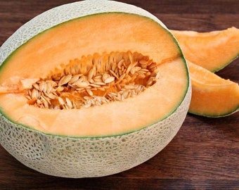 Hale's Best Jumbo Cantaloupe