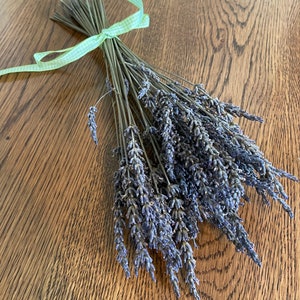 Dried Lavender, Purple Dried Flowers, Fragrant Dried Herbs, Wedding Bouquet, Home Decor, Dried Arrangement