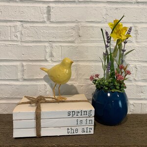 May include: A stack of three white books with the text "spring is in the air" on the front. The books are tied together with twine. A yellow bird figurine sits on top of the books. A blue planter with a floral arrangement of yellow daffodils and pink flowers sits on the right.