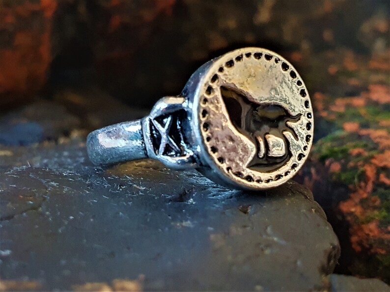 Video game jewellery gift Silver wolf Ring Dark souls ring Dark souls cosplay Men statement signet animal ring Geek birthday gift.