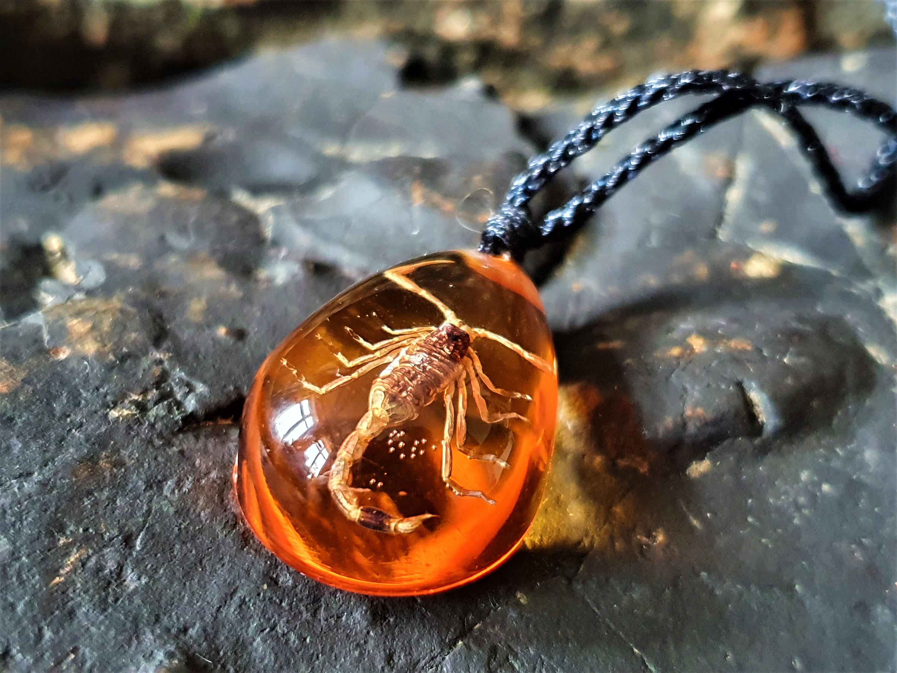 Scorpion pendant necklace. Real scorpion resin necklace for Etsy