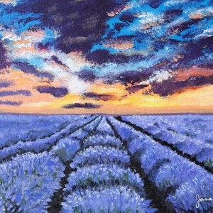Lavender Field Print