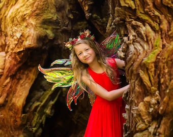 Small fairy wings. Fairy Dreams. Iridescent fairy wings kids