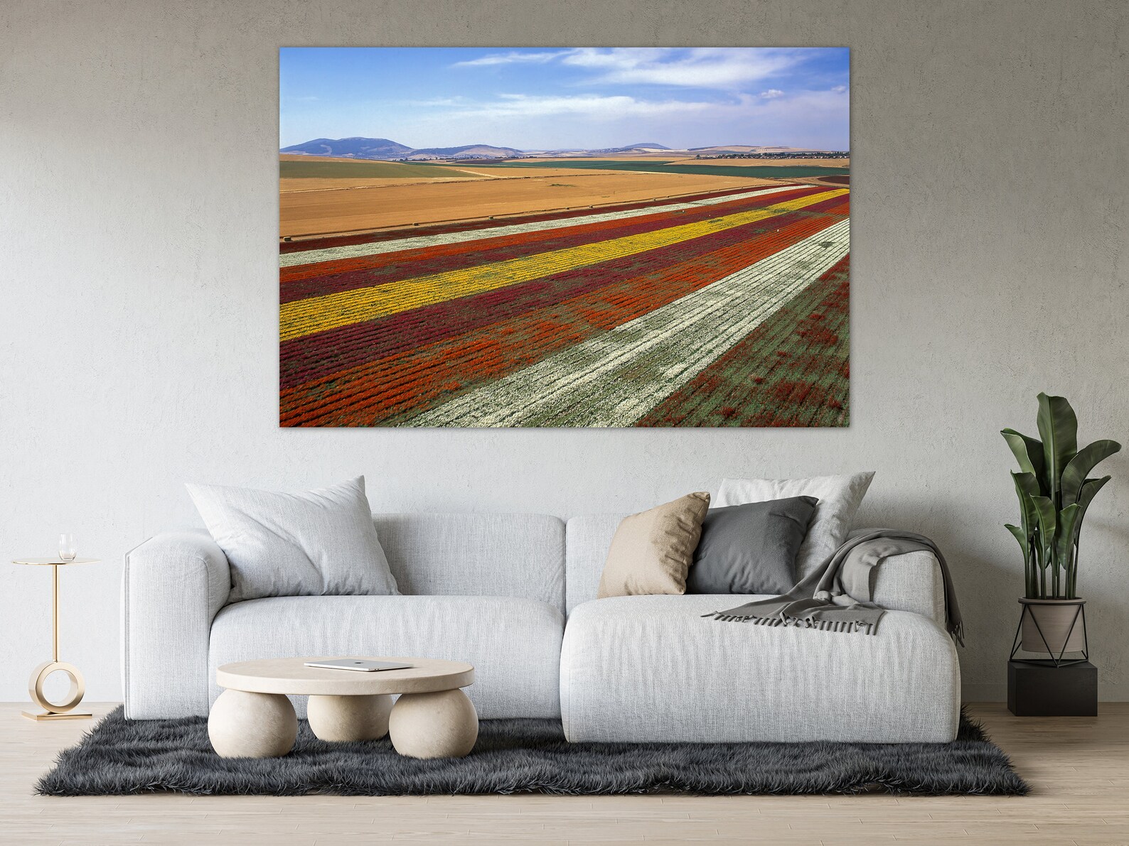 Agriculture Agronomy Photography Wall Art Print Colorful | Etsy