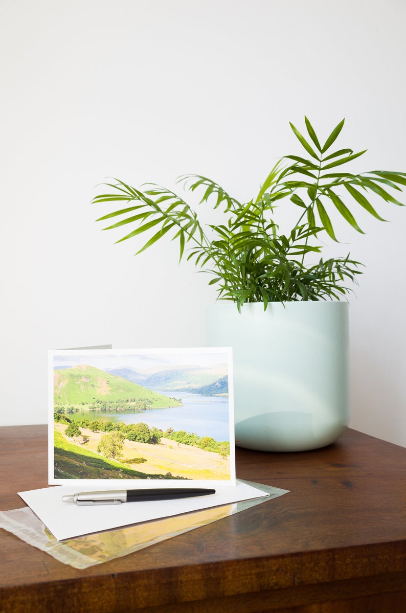 May include: A greeting card with a landscape scene of a lake and mountains, a black and silver pen, and a small potted plant with green leaves in a light blue pot. The items are on a dark wood surface.