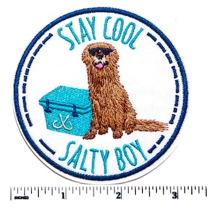 May include: Embroidered patch featuring a brown dog wearing sunglasses, with a turquoise cooler. The text "STAY COOL SALTY BOY" is in a blue font, surrounded by a blue and white circular border. The patch measures approximately 3 inches in diameter.