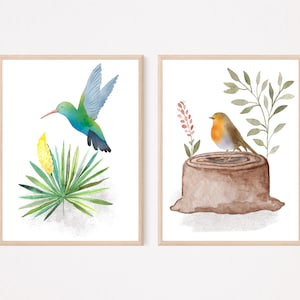 Colibrì e Robin Immagini per la cameretta dei bambini Immagini da parete Poster Acquerello A3 / A4 | Set di 3 - 6 decorazioni per la cameretta dei bambini, animali della foresta, animali della giungla, uccelli