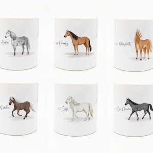Pferde Spardose mit Namen und Spruch | Appaloosa | Isländer | Koala | Haflinger | Shetland Pony | Friese | Deutsches Reitpferd | Einschulung