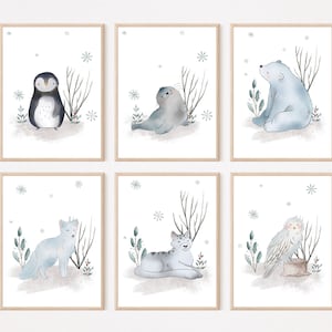Poster di animali artici e antartici Immagini per la cameretta dei bambini Animali del ghiaccio Poster per bambini Foca Orso polare Pinguino Volpe artica Leopardo delle nevi Gufo delle nevi