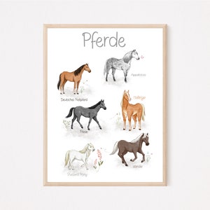 Horses Poster Horse Breeds Children's Room Picture Wall Picture Poster Watercolor A3 / A4 Icelandic Appaloosa Friese Haflinger Shetland Pony Icelandic