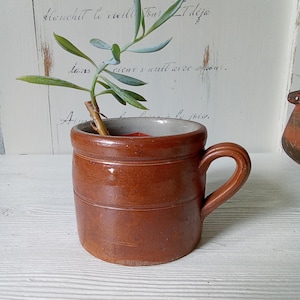 Könnte beinhalten: Eine kleine, braune Keramiktasse mit Henkel, die eine grüne Pflanze enthält. Die Tasse hat einen hellen Innenraum und eine strukturierte Außenseite. Der Hintergrund zeigt eine weiße Holzoberfläche und eine Wand im Vintage-Stil mit verblasstem Text.