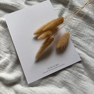 Puede incluir: Una tarjeta blanca con el texto "FOX AND THE WOLF" y "Etsy @ FoxandtheWolfCreates" impreso en negro. La tarjeta est&aacute; adornada con varios tallos de hierba de cola de conejo secos de color marr&oacute;n claro.