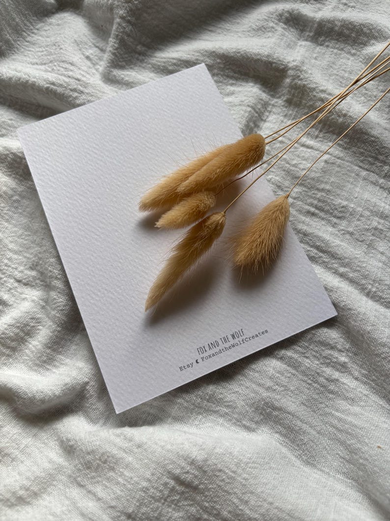 Puede incluir: Una tarjeta blanca con el texto "FOX AND THE WOLF" y "Etsy @ FoxandtheWolfCreates" impreso en negro. La tarjeta est&aacute; adornada con varios tallos de hierba de cola de conejo secos de color marr&oacute;n claro.