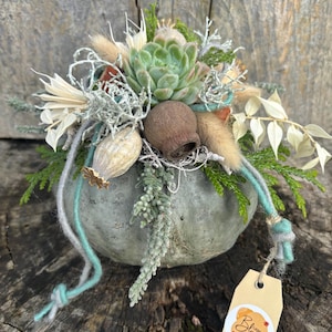 Könnte beinhalten: Dekorative Anordnung aus Trockenblumen und Sukkulenten in einem kleinen, grauen Kürbis. Die Anordnung umfasst eine Vielzahl von Texturen und Farben, mit Akzenten in Grün, Beige und Braun. Ein Etikett mit dem Text "Liebe zur Blume" ist angebracht.