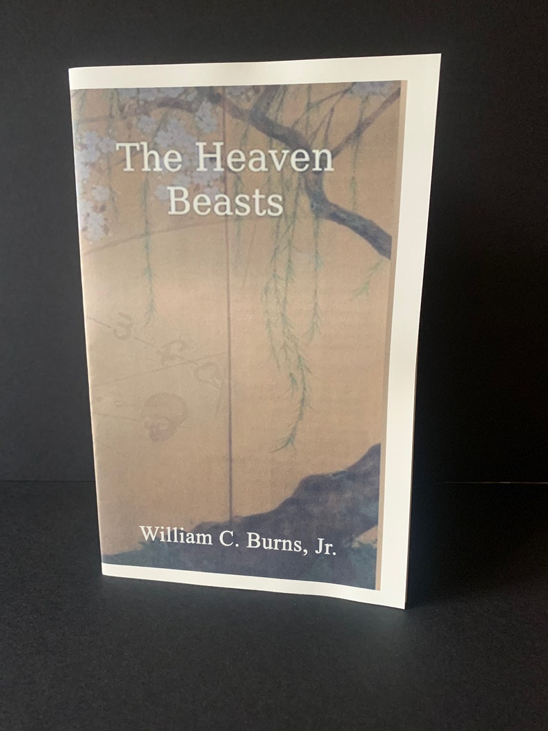 The Heaven Beasts image 1