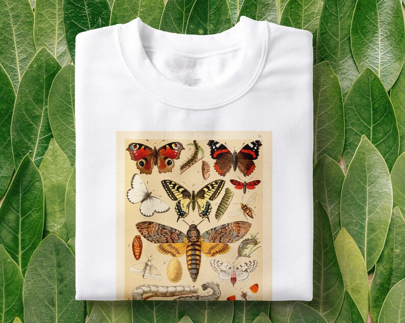 Op de afbeelding: Wit T-shirt met een vintage illustratie van verschillende vlinders en motten. De illustratie bevat een verscheidenheid aan kleuren, waaronder rood, geel, zwart en wit.