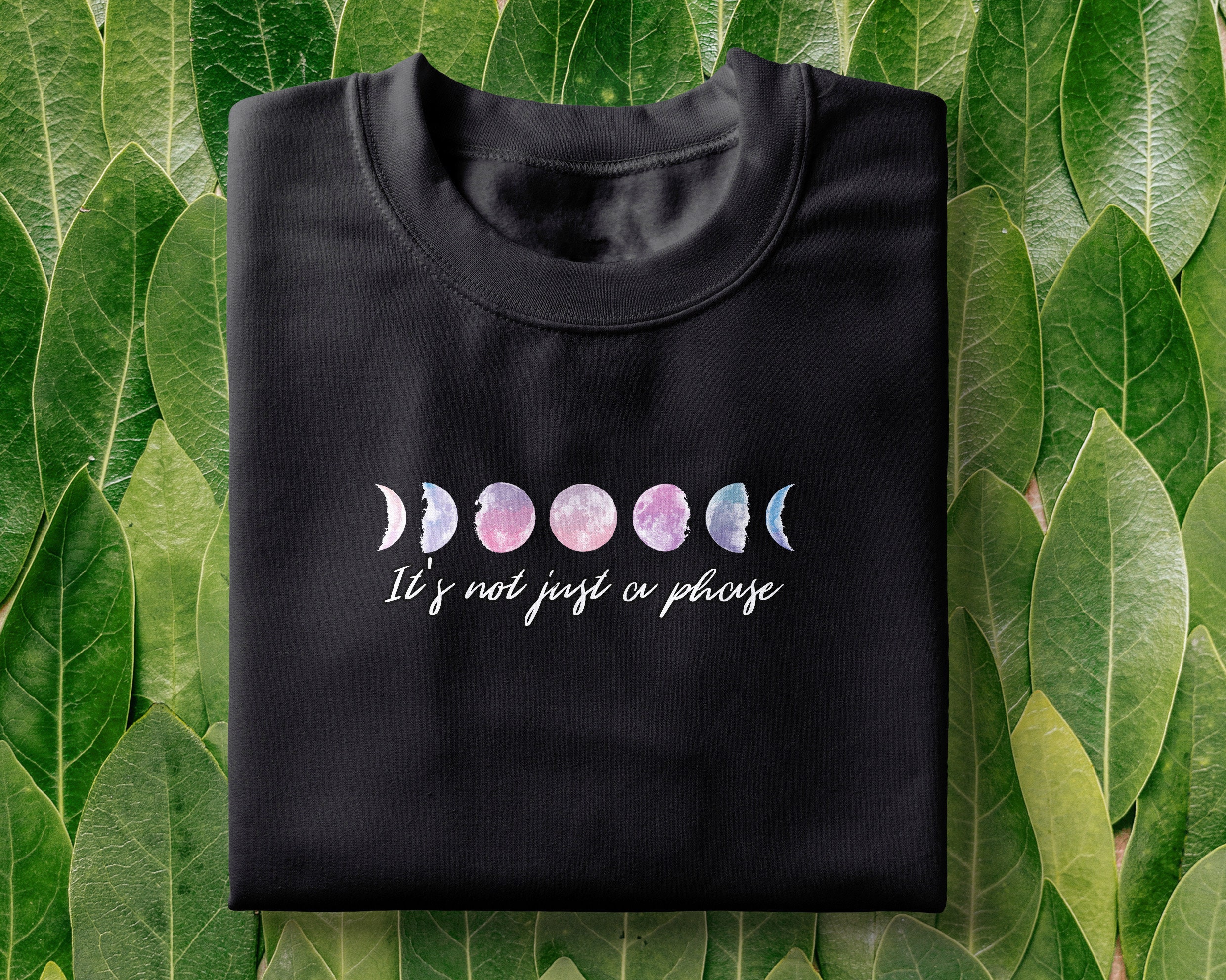 Moon Phases T-shirt | It's Not Just A Phase, Astronomy Tee