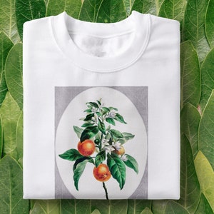 Orange Tree Vintage T-Shirt | Botanist Shirt, Botanische T-shirt, Citrus Tshirt, Planten Shirt, Tumblr Esthetiek, Oranje Fruit, Fruit T-Shirt