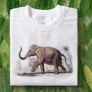 Elephant Vintage T-Shirt | Elephant Shirt, Aesthetic Tee, Retro Shirt, Tumblr Aesthetic, Womens Clothing