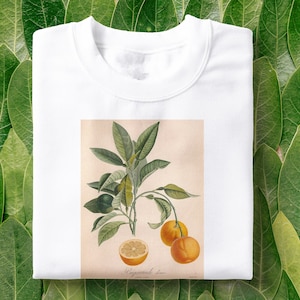 Orange Tree Vintage Illustrated T-Shirt | Botanist Shirt, Botanical Tee, Fruit Tee, Plants Shirt, Tumblr Aesthetic, Womens Clothing