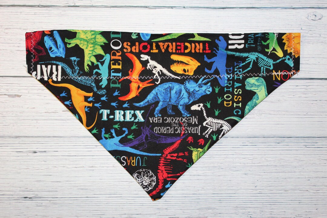 Archeologist Dinosaur Dog Bandana, Over the Collar Dog Bandana, Pet
