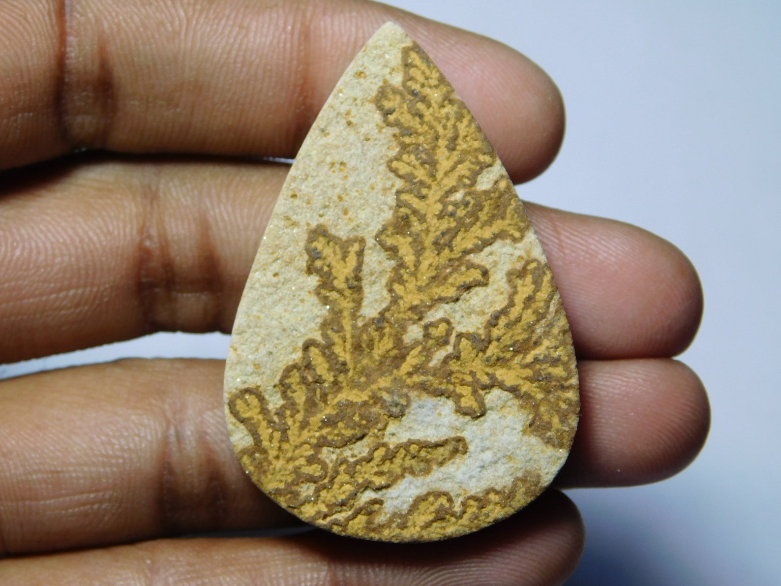 psilomelane dendrite psilomelane dendrite
