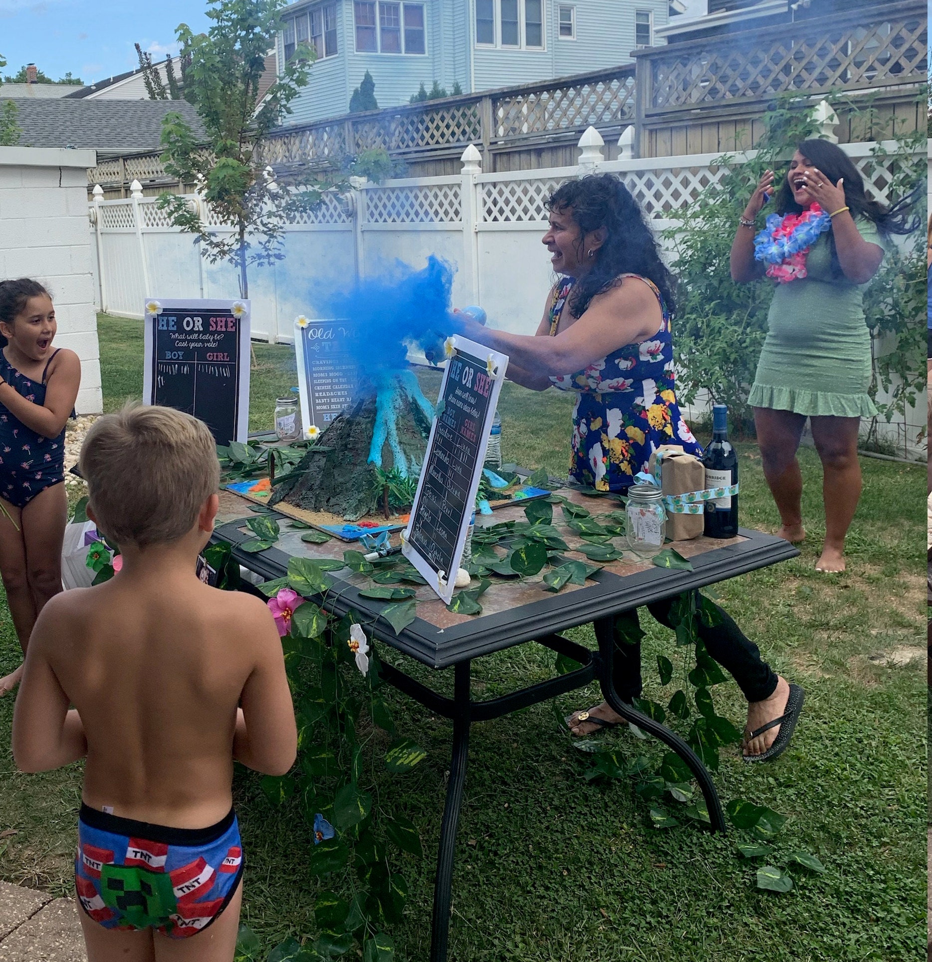 Gender Reveal Volcano Etsy