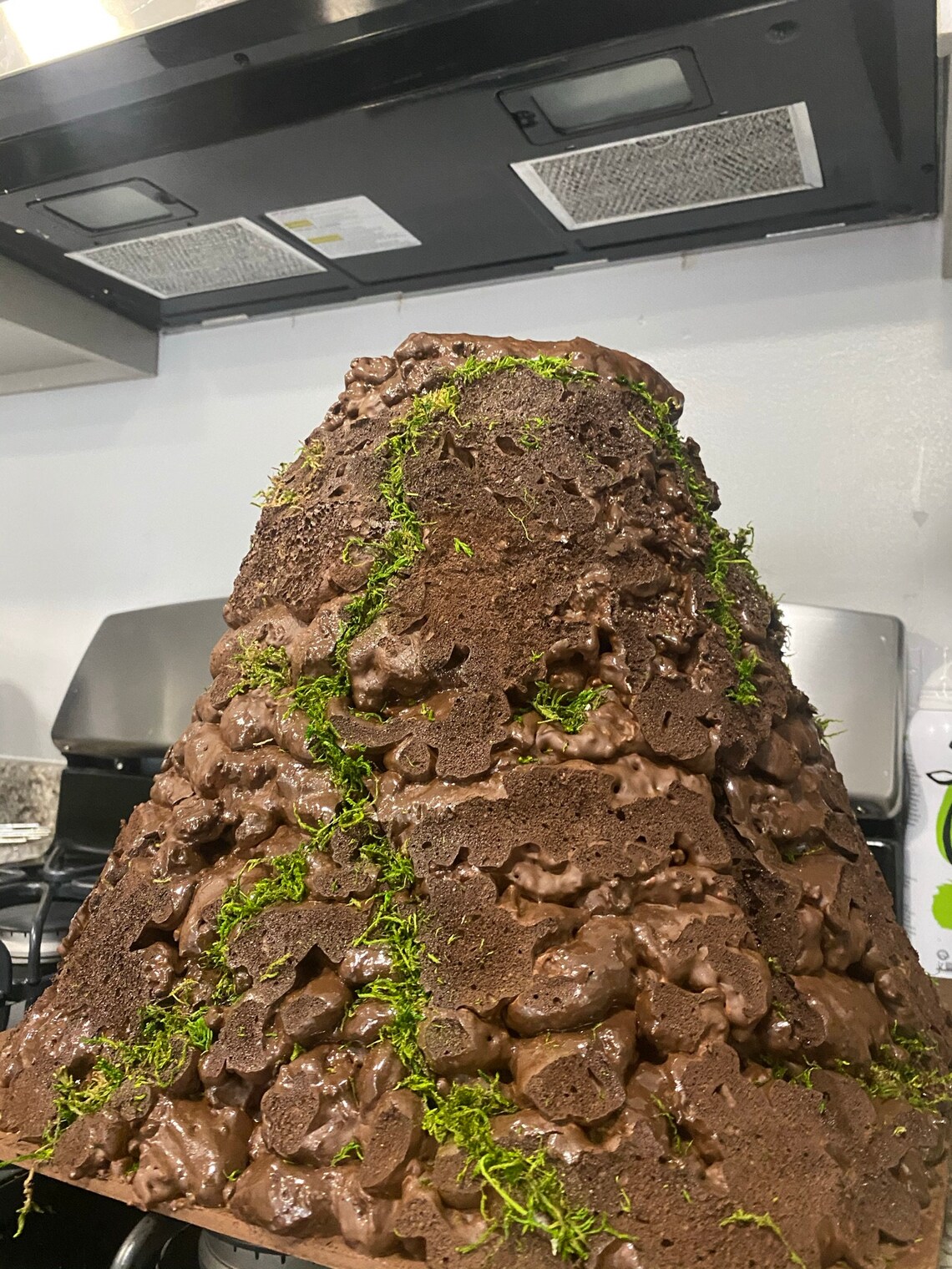 Gender Reveal Volcano Etsy