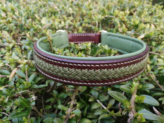 Dog collar Genuine leather vegetable tanned Saddle seam Kangaroo Braiding
