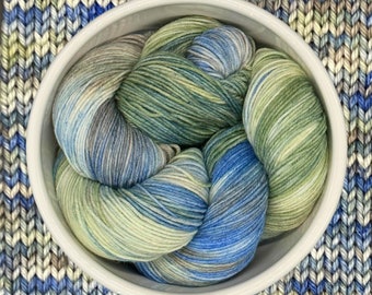 Peter's Big Adventure - A variegated hand dyed yarn