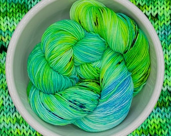 Caterpillar - Variegated Hand Dyed Yarn