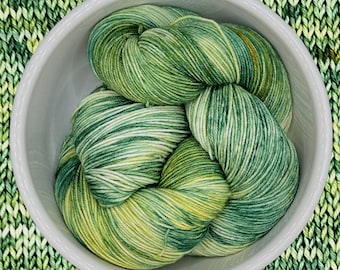 Meadow - Variegated Hand Dyed Yarn