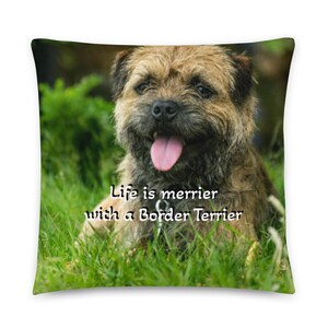 May include: A brown and white Border Terrier dog with its tongue sticking out is lying in green grass. The text "Life is merrier with a Border Terrier" is written below the dog.